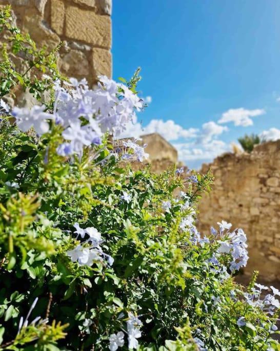 הוילה טרמיני אימרסה Casa Al Plumbago מראה חיצוני תמונה